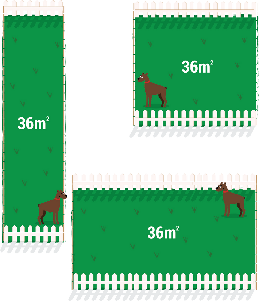 Three yards with slightly different rectangular shapes are depicted. Each features a cartoon dog and a white picket fence. Though different different shapes, each of these yards measures 36m squared. 