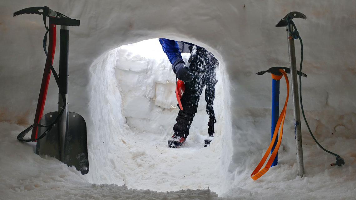 An individual in the midst of making an igloo using modern shovels and ice picks.